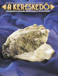 C�MLAP - november (k�p nagy m�retben)