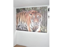 Sárkány György  TEMI2002 Kft