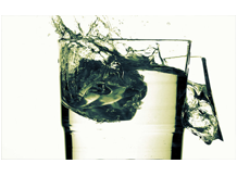 AVE Ásványvíz Gyártó és Forgalmazó Kft