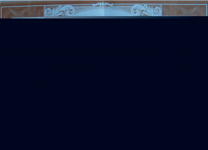 ȫ�������ŵù���Ʒ��2008��